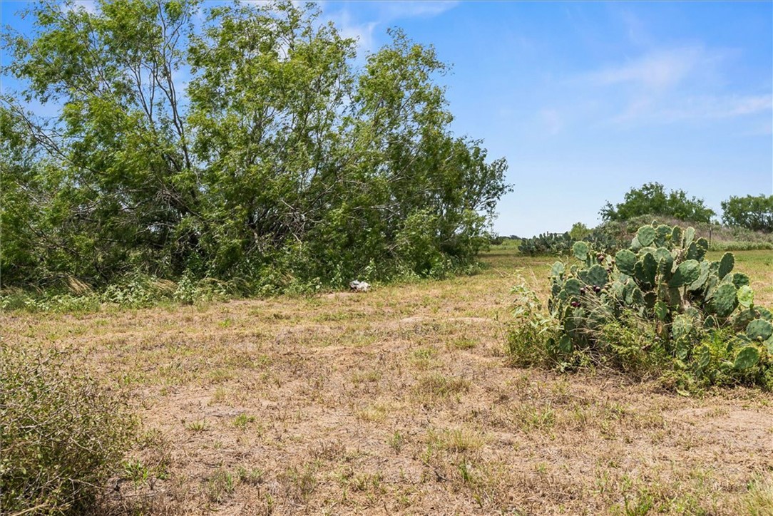 676 Fm 534 Property Photo 29