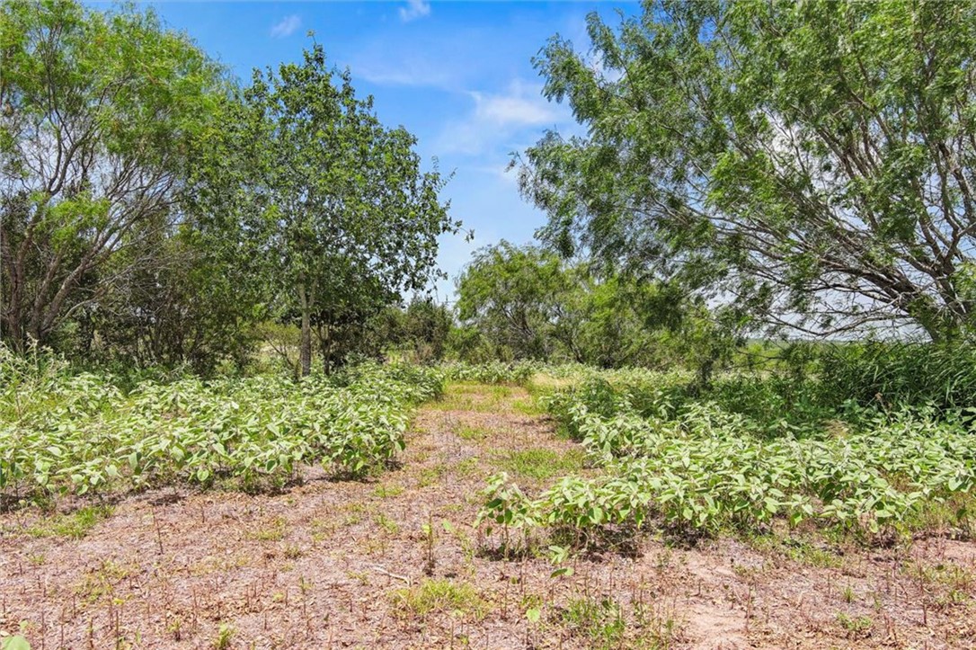 676 Fm 534 Property Photo 30