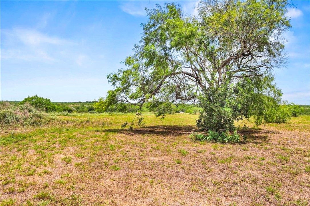 676 Fm 534 Property Photo 33