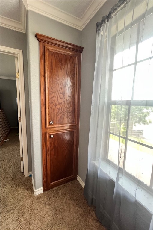 9529 Lovebird St Property Photo 24