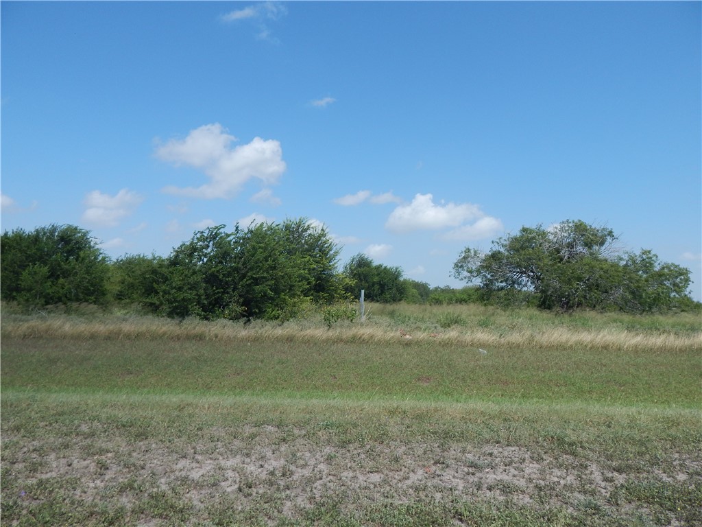 1242 Saratoga Blvd Property Photo 8