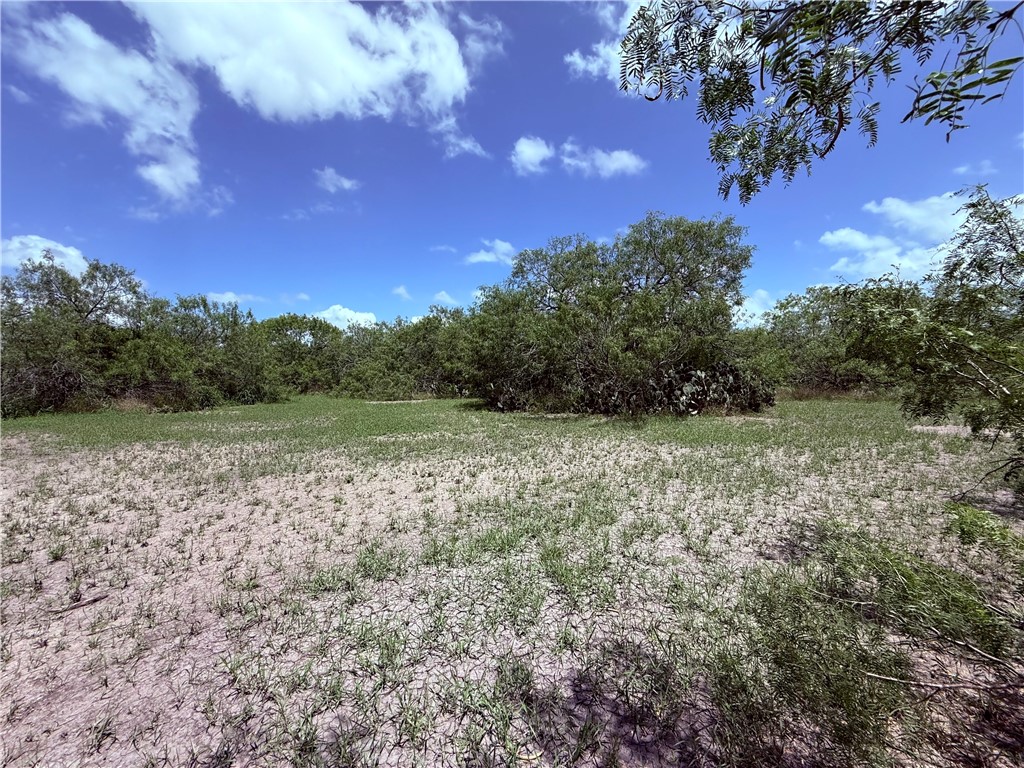 5742 Hidden Valley Loop Property Photo 21