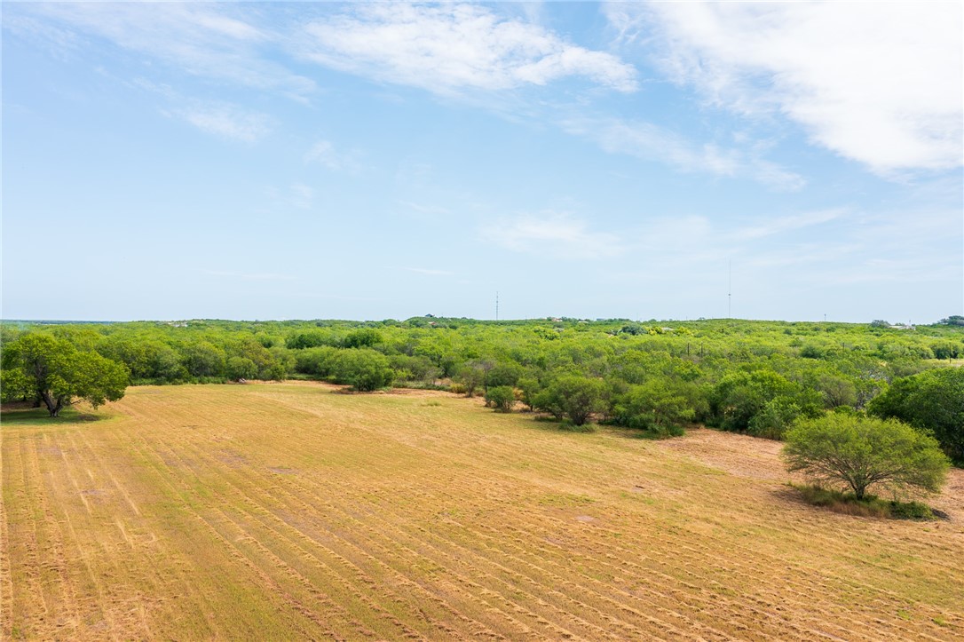 202 Ranch Property Photo 4
