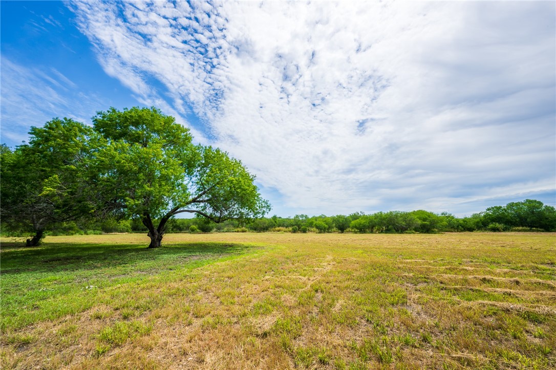 202 Ranch Property Photo 8