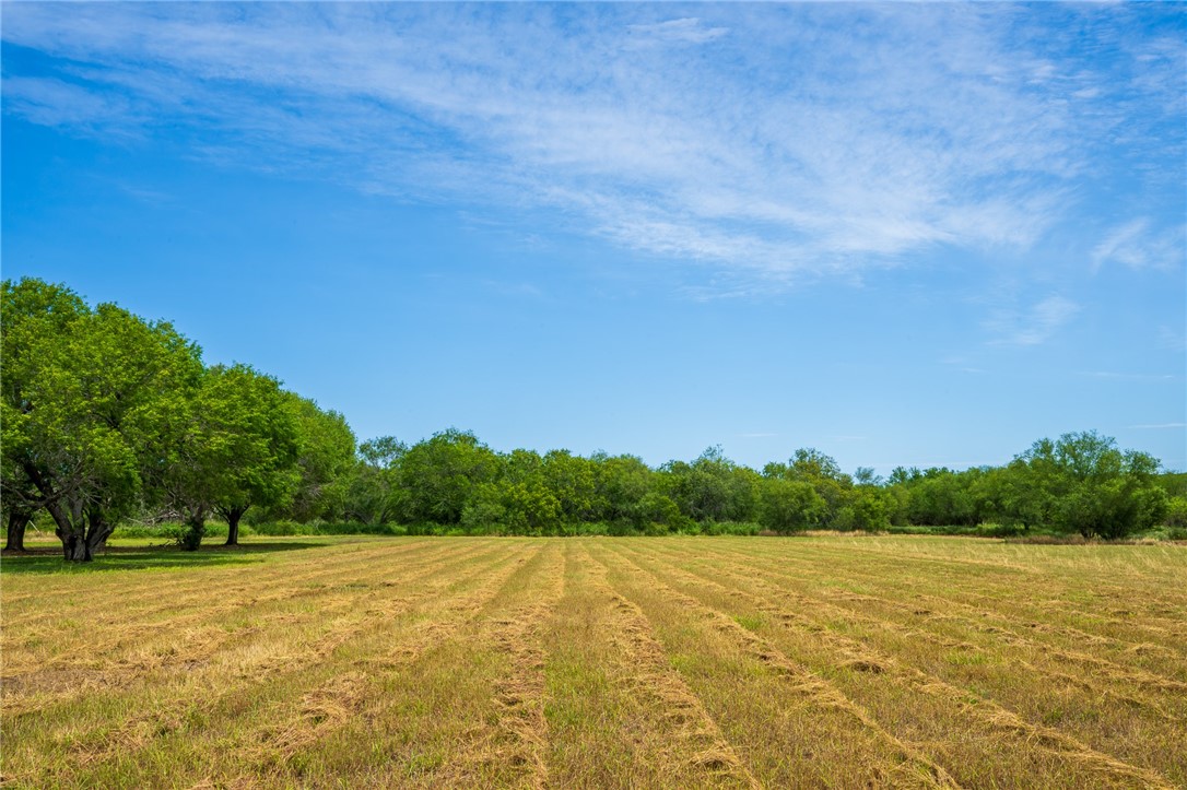 202 Ranch Property Photo 13