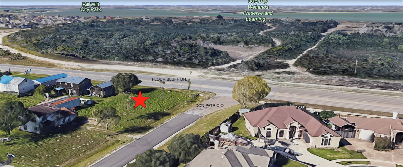 1901 Flour Bluff Dr Property Photo 4