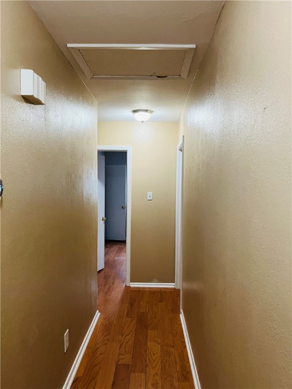 104 Poesta Dr Property Photo 21
