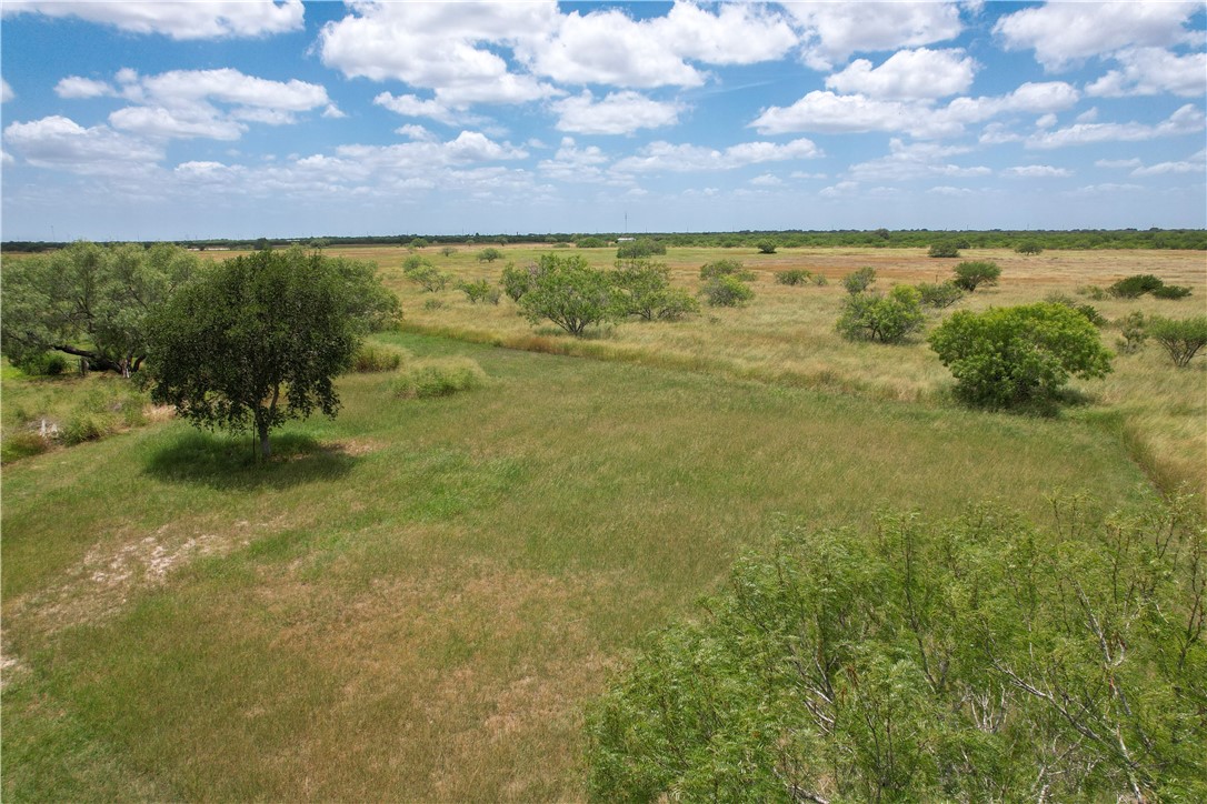 1500 Lois Property Photo 6