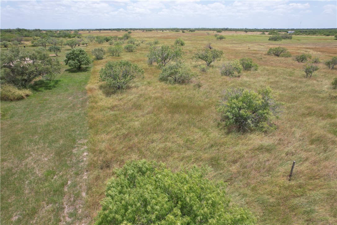 1500 Lois Property Photo 12