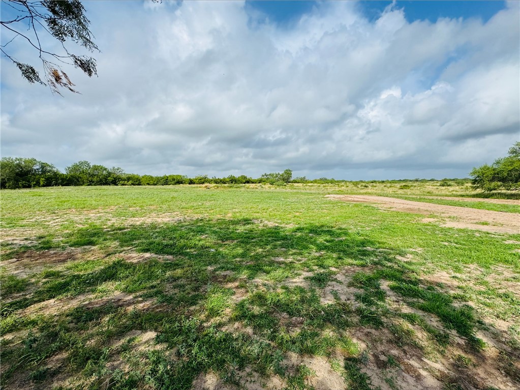 157 County Road 150 Property Photo 20