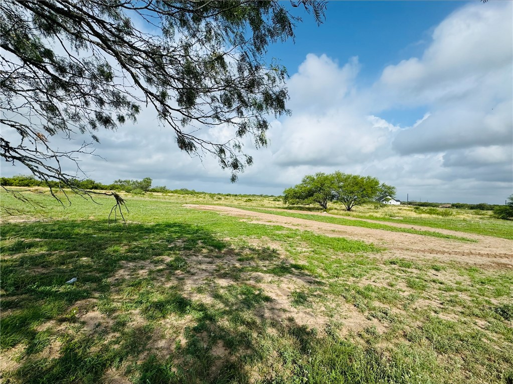 157 County Road 150 Property Photo 21
