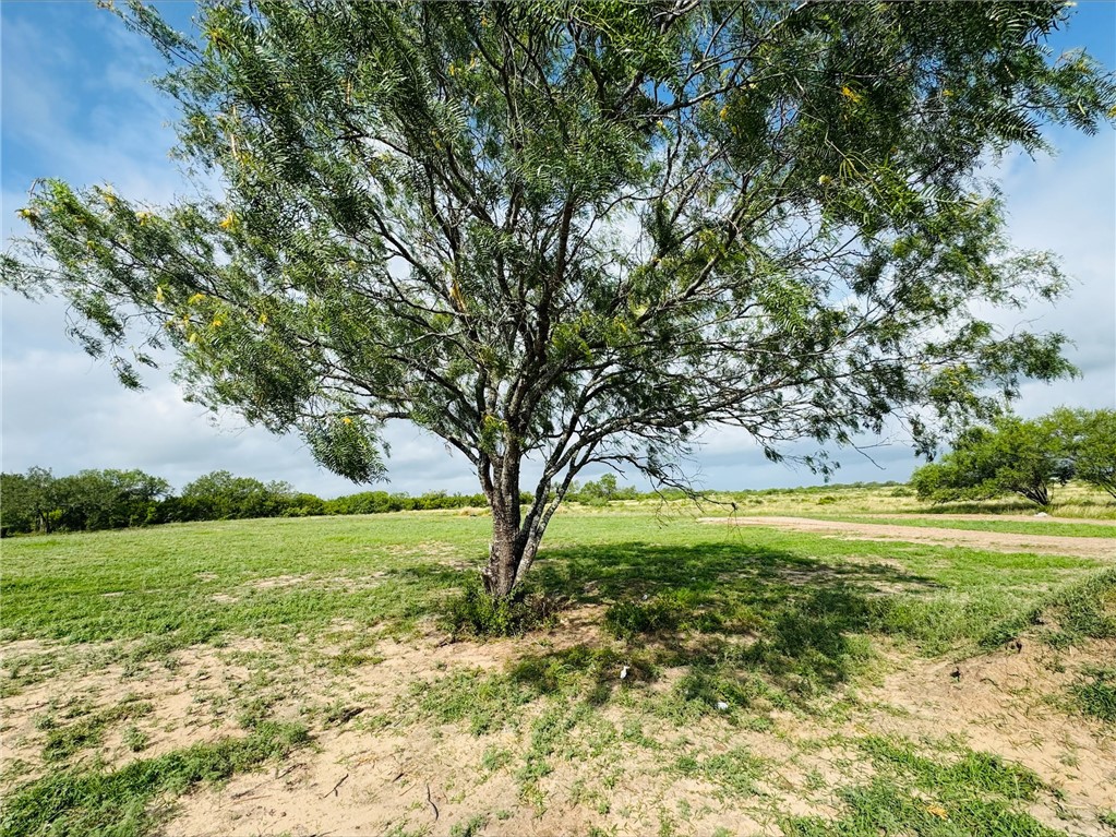 157 County Road 150 Property Photo 24