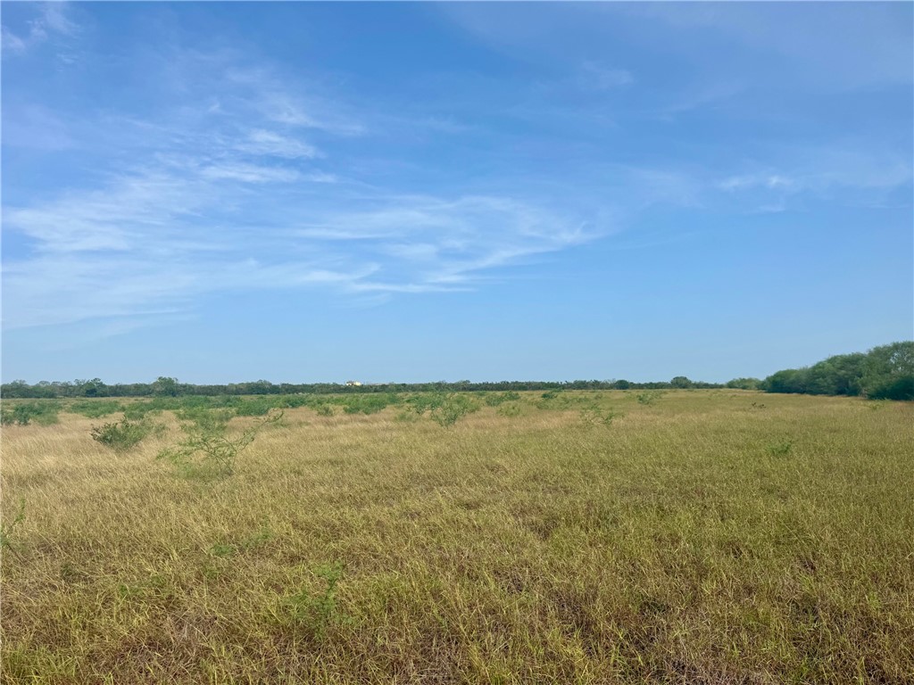 000 County Rd 335 Property Photo 5