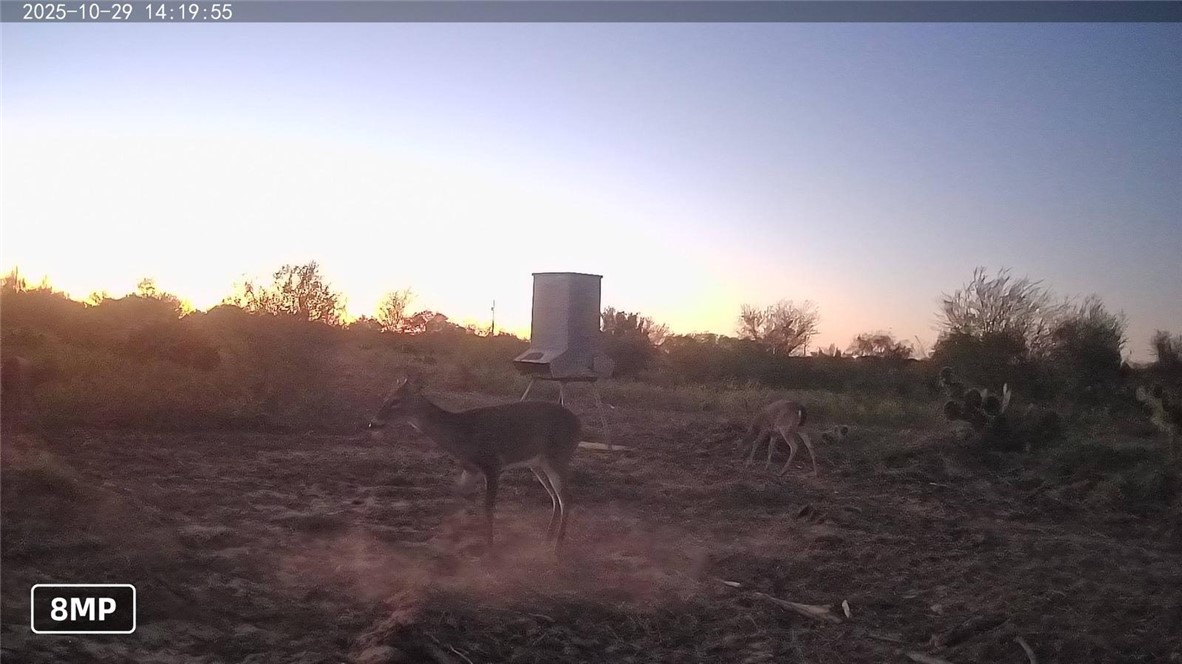 TR-29-2 County Road 408