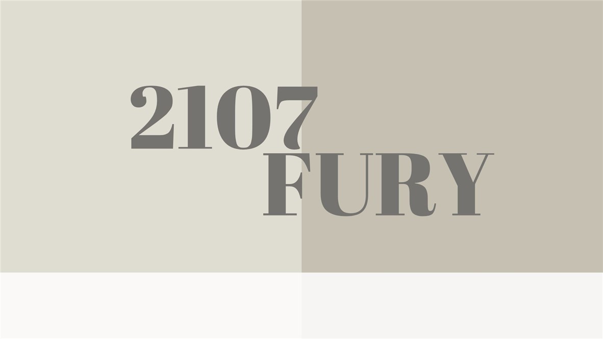 2107 Fury Property Photo 2
