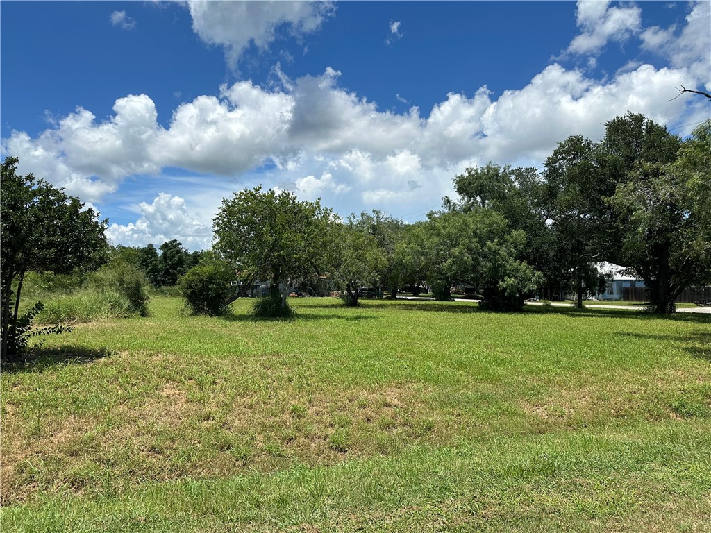 208 Gallia St Property Photo 1
