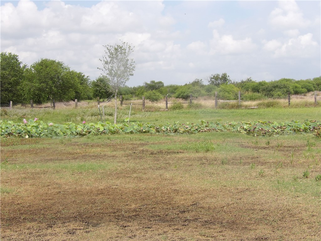 170 Barker Property Photo 14