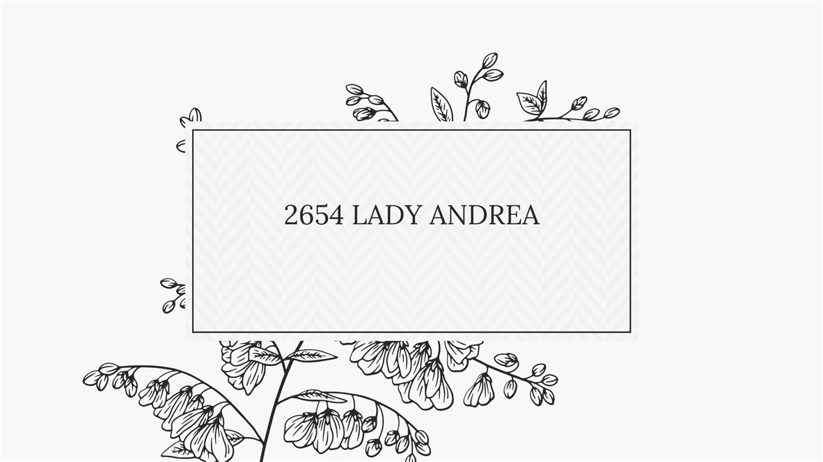 2654 Lady Andrea Dr Property Photo 2