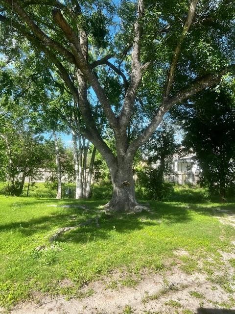 502 S Stephenson St Property Photo 16