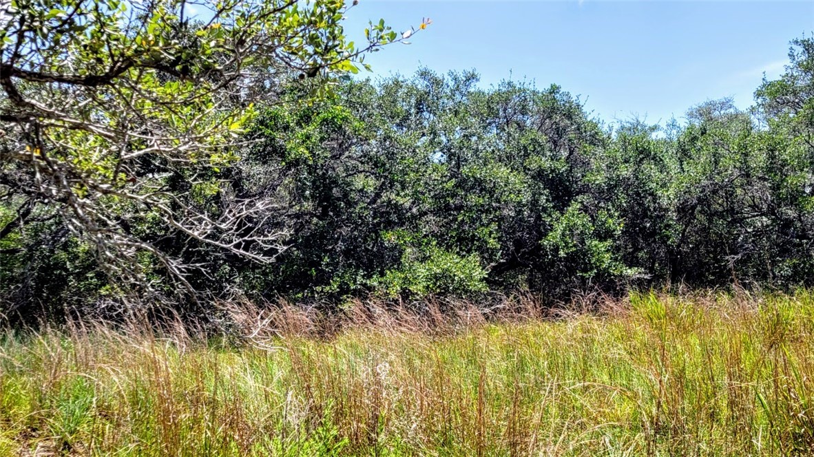 0 Proposed Hwy 35 Property Photo 1