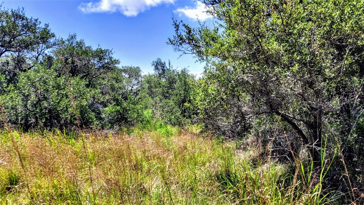 0 Proposed Hwy 35 Property Photo 2