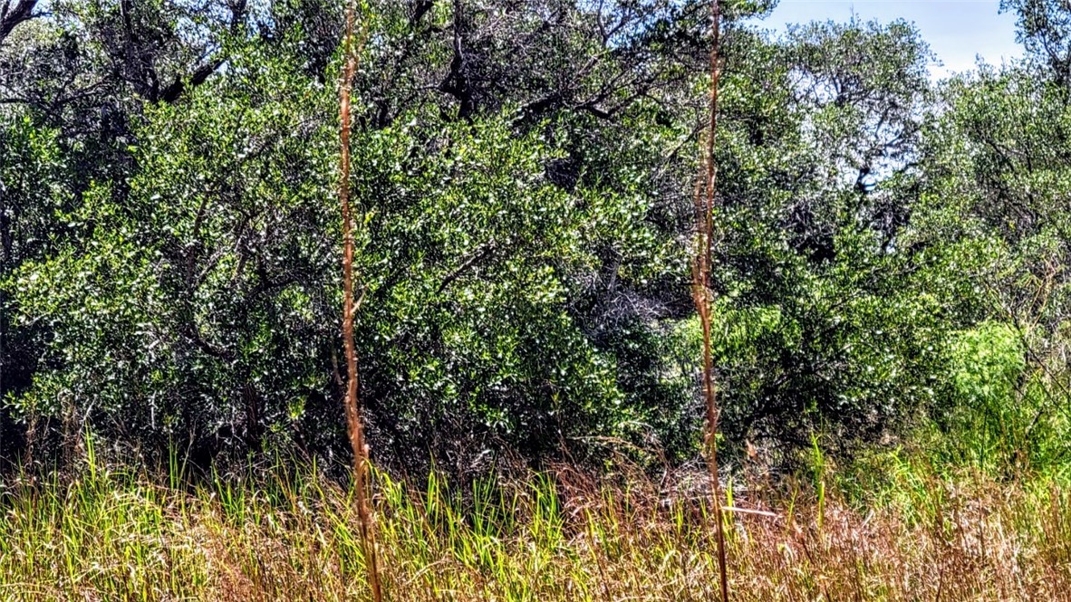 0 Proposed Hwy 35 Property Photo 3