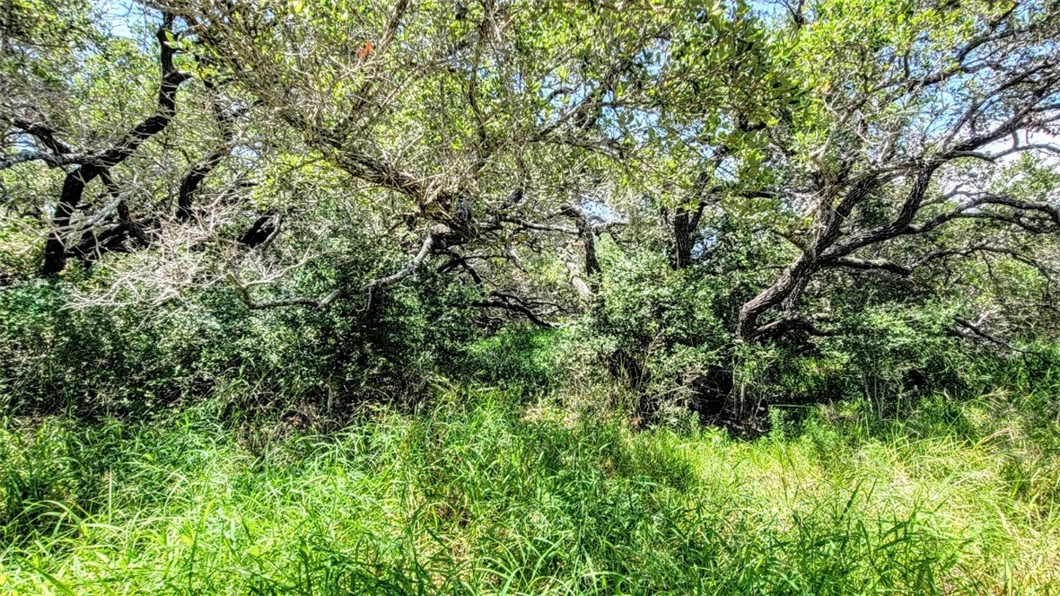 0 Proposed Hwy 35 Property Photo 5
