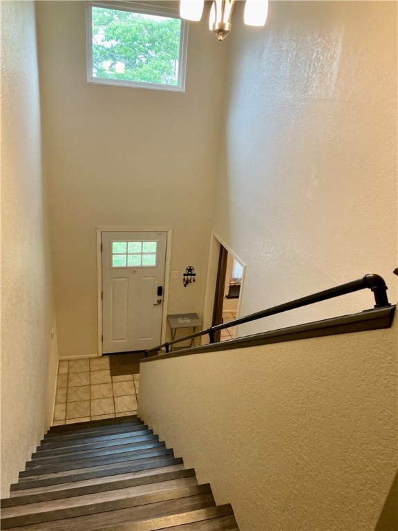 917 Saint Bernard St Property Photo 16