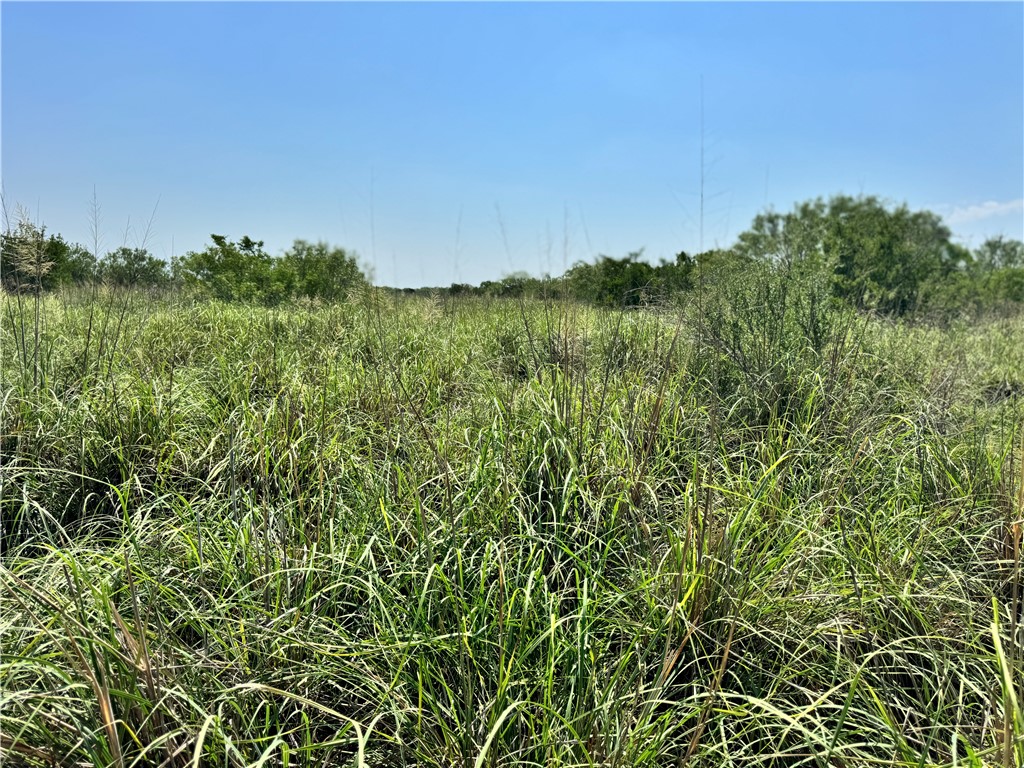 0 Cameron Lane Property Photo 13