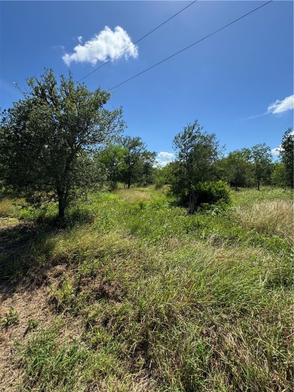 148 & 150 Luke Road Property Photo 16