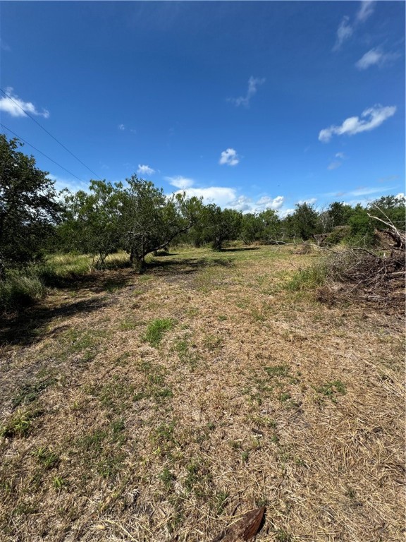 148 & 150 Luke Road Property Photo 17