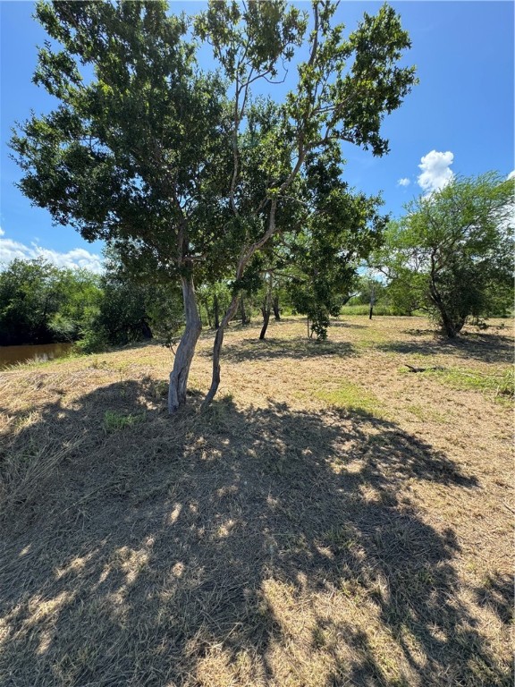 148 & 150 Luke Road Property Photo 29
