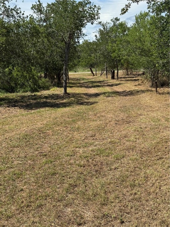 148 & 150 Luke Road Property Photo 32