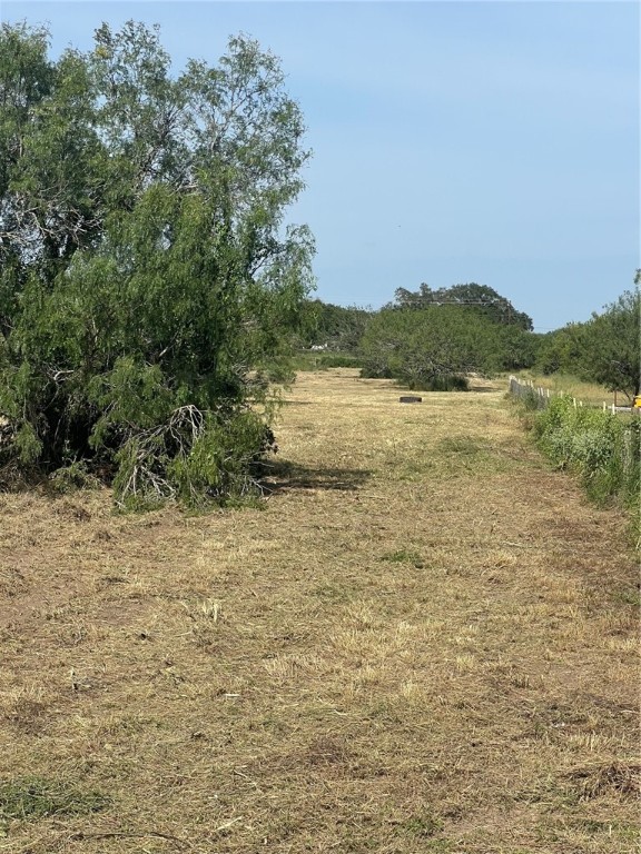 197 COUNTY ROAD 1171 Property Photo 1
