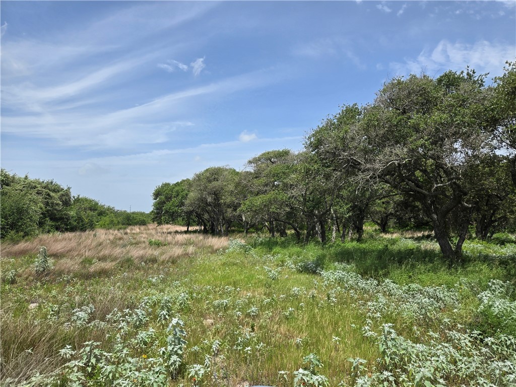 2761 State Highway 35 Bypass Property Photo 3