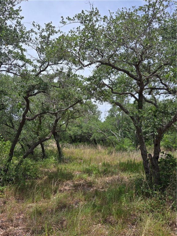 2761 State Highway 35 Bypass Property Photo 6