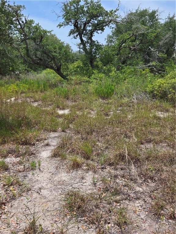 2761 State Highway 35 Bypass Property Photo 7