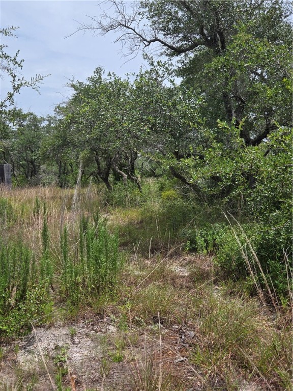 2761 State Highway 35 Bypass Property Photo 8