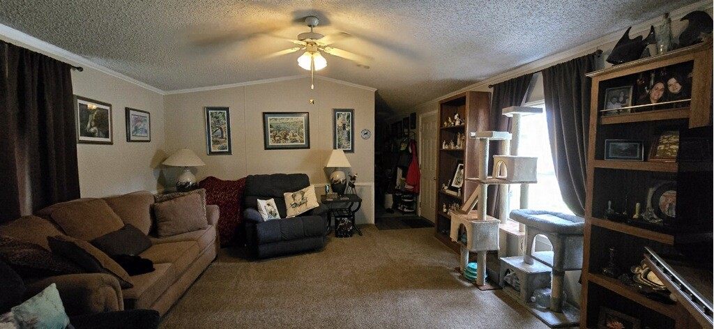 413 Donnie Dr Property Photo 4