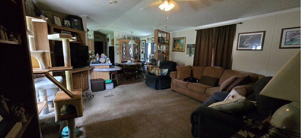 413 Donnie Dr Property Photo 5