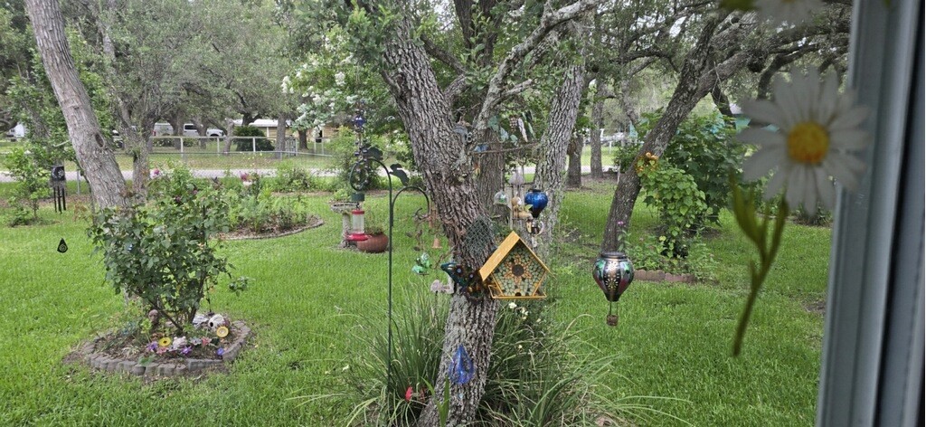 413 Donnie Dr Property Photo 17