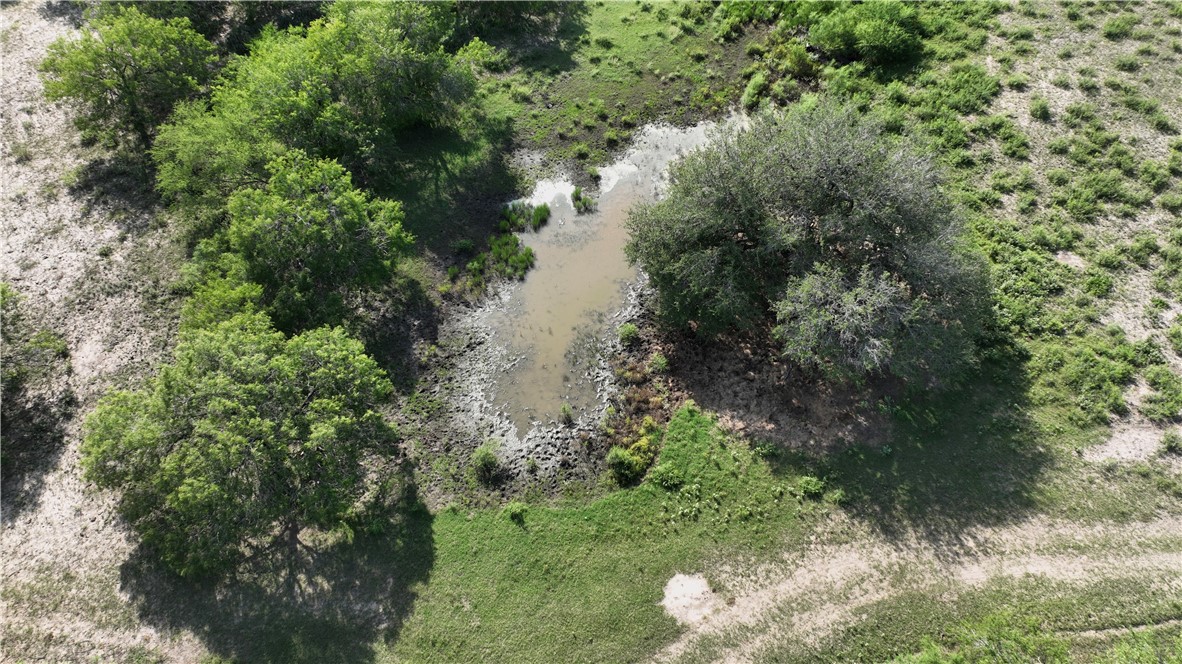 571 Fm 799 Property Photo 10