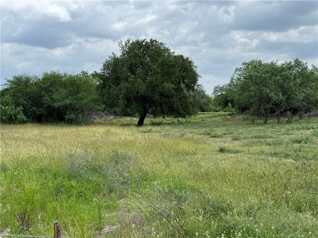 571 Fm 799 Property Photo 29