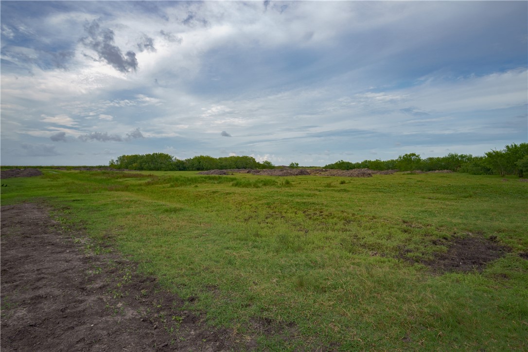 2049 Bernice Dr Property Photo 3