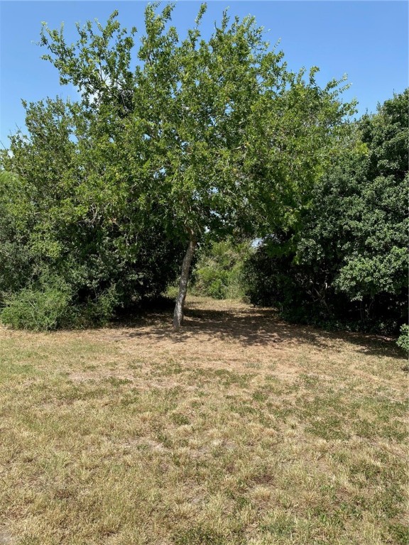 137 Fm 1360 Property Photo 13