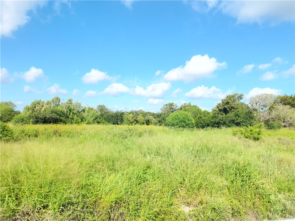 00 County Road 2095 Property Photo 1