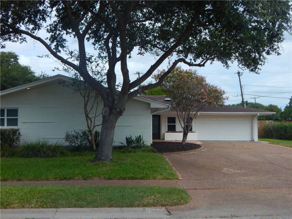 302 Dolphin Pl Property Photo 29