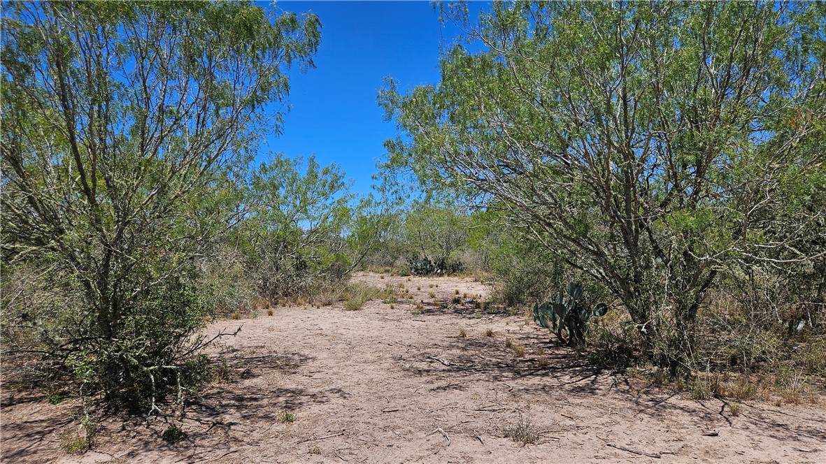 0 Tract 59 Property Photo 25
