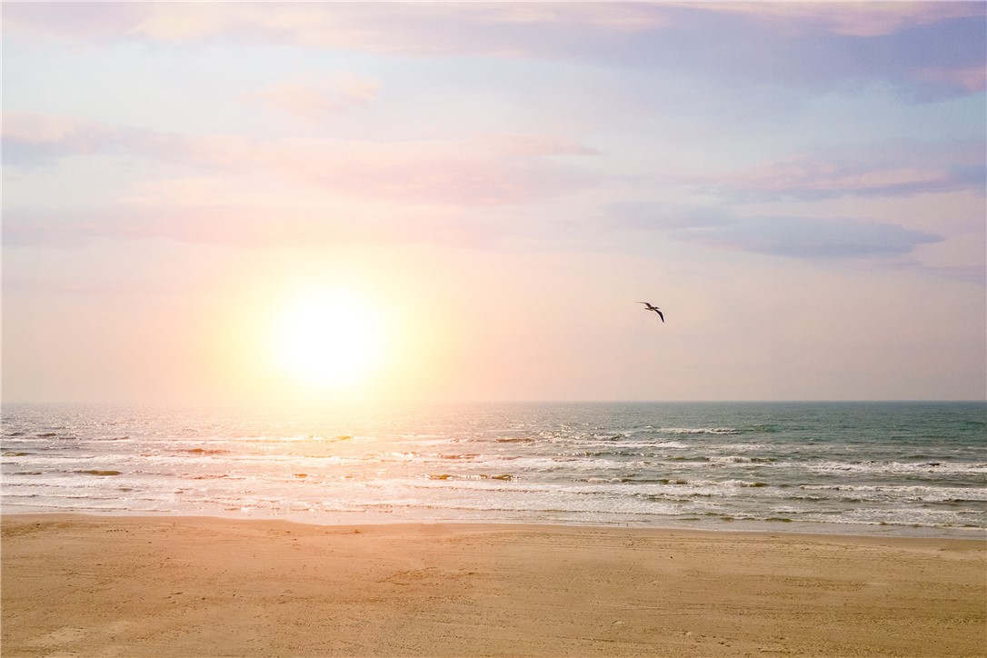 2900 On The Beach Property Photo 13