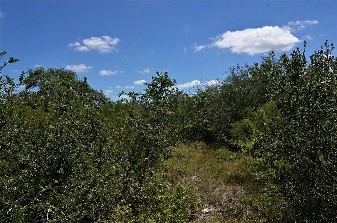 1641 Charco Property Photo 2
